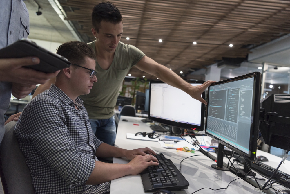 IT-specialists